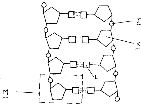 78_DNA molecule.png